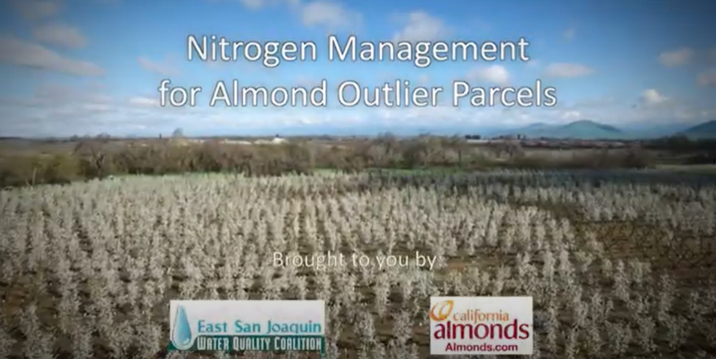 2021 10 25 Almond Outlier