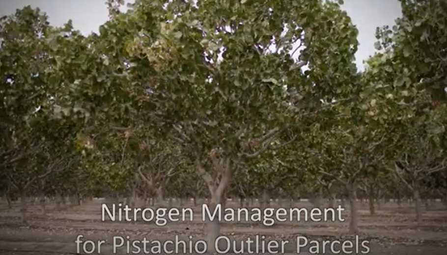 2021 10 25 Pistachio Outlier